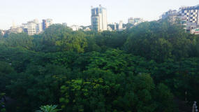 September 23 Park, Saigon