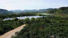 Highlands Coffee Plantation