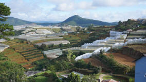Dalat Greenhouses