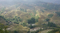 Sapa Terraces