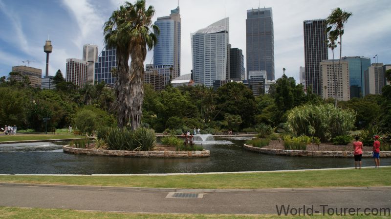 Sydney Skyline