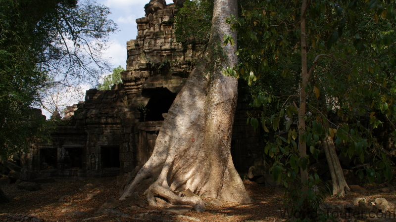 Ta Prohm