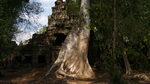 Ta Prohm