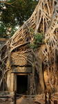Ta Prohm