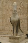 Edfu Falcon