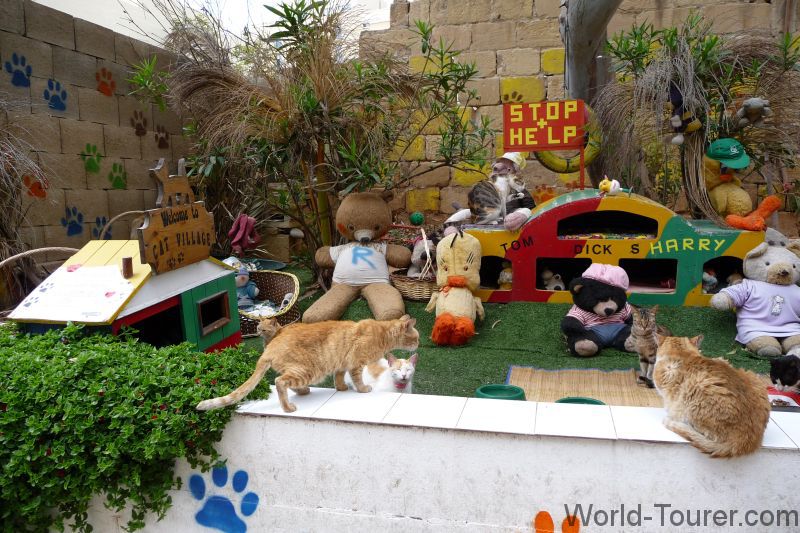Cat Village