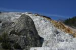 Mammoth Springs