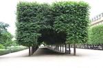 Little Archway