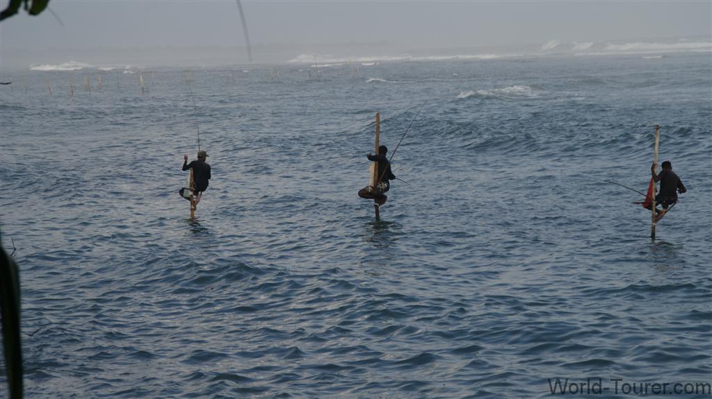 Stilt Fishing