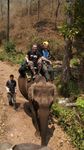 Elephant Ride