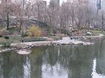 Central Park