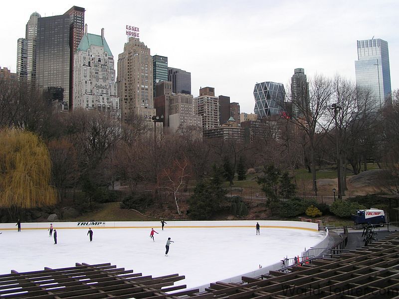 Ice Rink