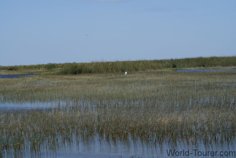 Everglades