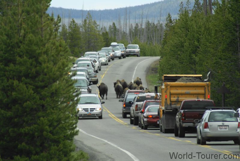 Buffalo Road Block