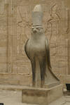 falcon statue edfu temple entrance