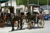 Malta Horse Drawn Cab