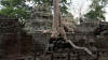 ta prohm